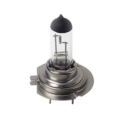 AMPOULE H7 12V 55W - Ampoules