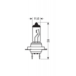 AMPOULE H7 12V 55W - Ampoules