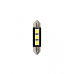 AMPOULES SPECIALES A LED X2 24-28V BLANC - Ampoules