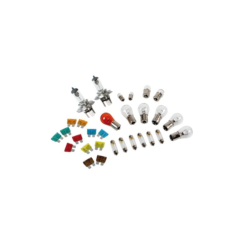 Kit ampoules de rechange 30 pc, halogène 2xH4 - 24V - Accueil