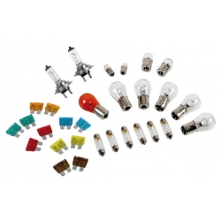 Kit ampoules de rechange 30 pc, halogène 2xH7 - 24V - Accueil