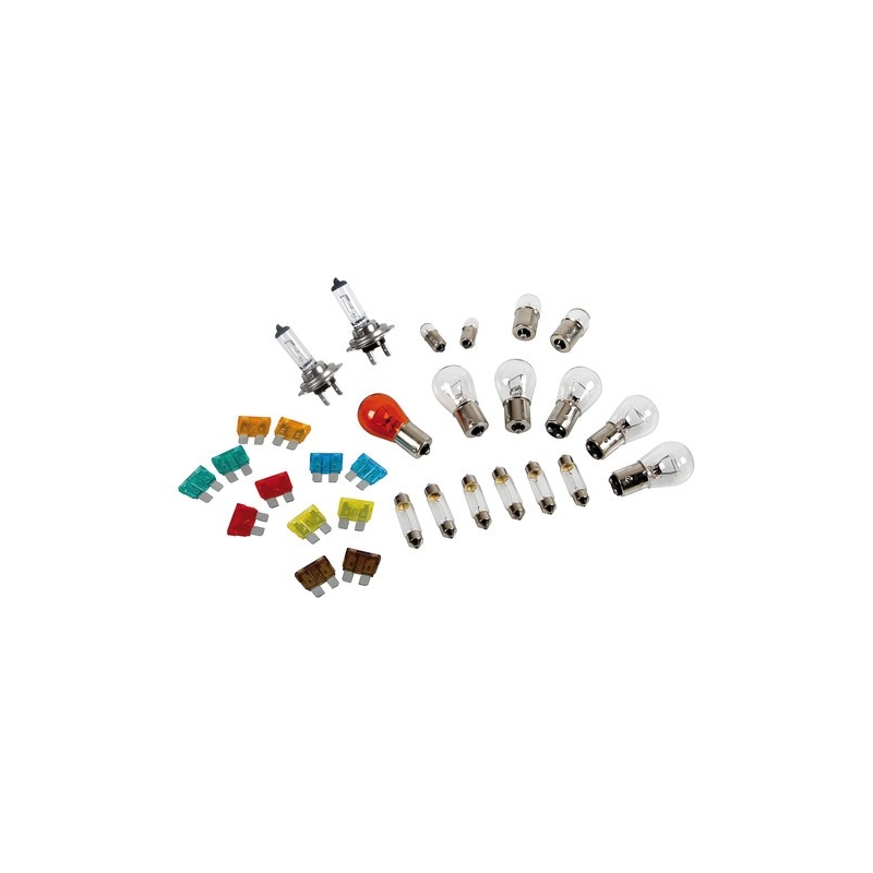 Kit ampoules de rechange 30 pc, halogène 2xH7 - 24V - Ampoules