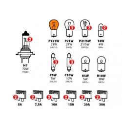 Kit ampoules de rechange 30 pc, halogène 2xH7 - 24V - Ampoules
