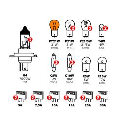 Kit ampoules de rechange 30 pc, halogène 2xH4 - 24V - Ampoules