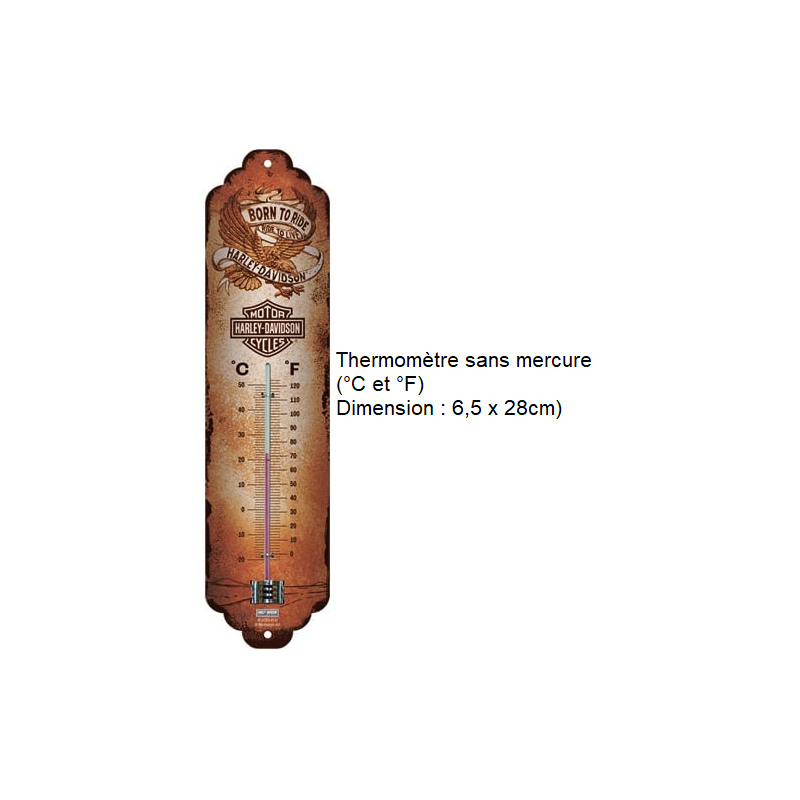 THERMOMETRE DECORATION - Accessoires