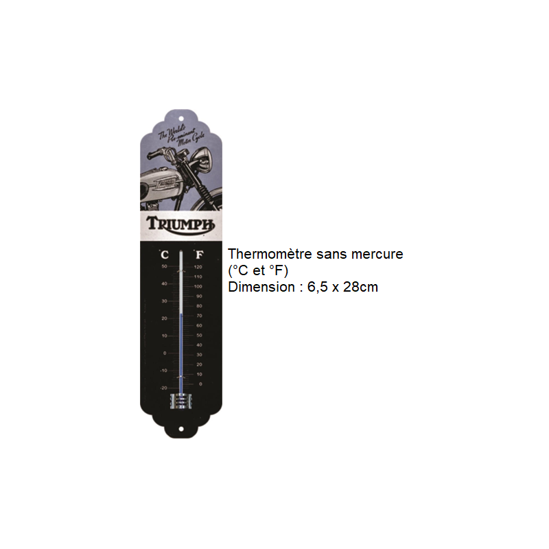 THERMOMETRE DECORATION - Accessoires