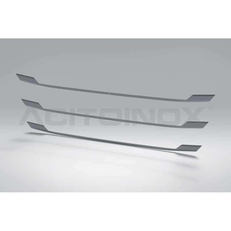 Profils de calandre | Man TGX 2020 - Accueil