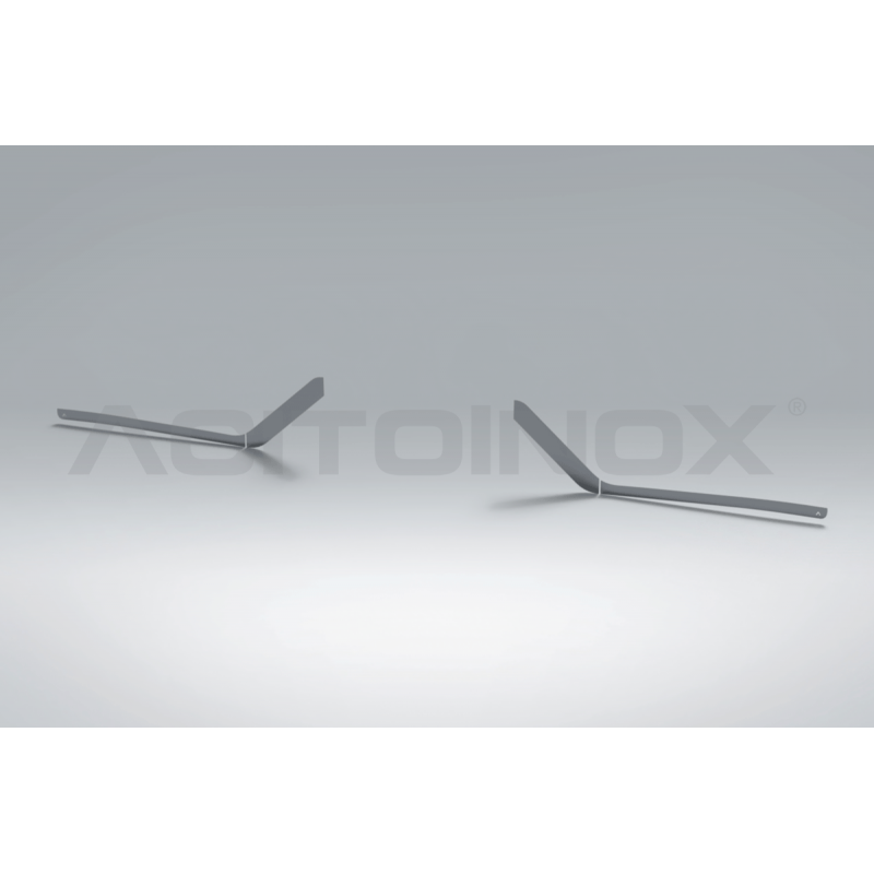 Habillages de pare-chocs | Man TGX 2020 - Accueil