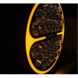 FEU DE ROUTE WILD SERIES 9" - Phares